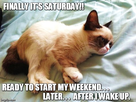 Ready For The Weekend | FINALLY IT'S SATURDAY!! READY TO START MY WEEKEND. . .                                          LATER. . .  AFTER I WAKE UP. | image tagged in memes,grumpy cat,weekend | made w/ Imgflip meme maker