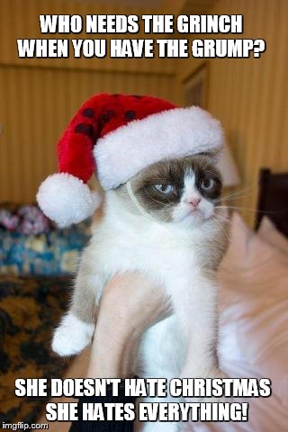 The Grump | WHO NEEDS THE GRINCH WHEN YOU HAVE THE GRUMP? SHE DOESN'T HATE CHRISTMAS  SHE HATES EVERYTHING! | image tagged in memes,grumpy cat christmas,grumpy cat | made w/ Imgflip meme maker