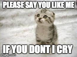 Sad Cat Meme | PLEASE SAY YOU LIKE ME IF YOU DONT I CRY | image tagged in memes,sad cat | made w/ Imgflip meme maker