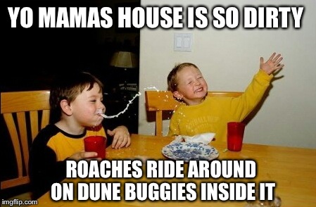 Yo mamas house is so dirty | YO MAMAS HOUSE IS SO DIRTY ROACHES RIDE AROUND ON DUNE BUGGIES INSIDE IT | image tagged in memes,yo mamas so fat,funny,too funny | made w/ Imgflip meme maker