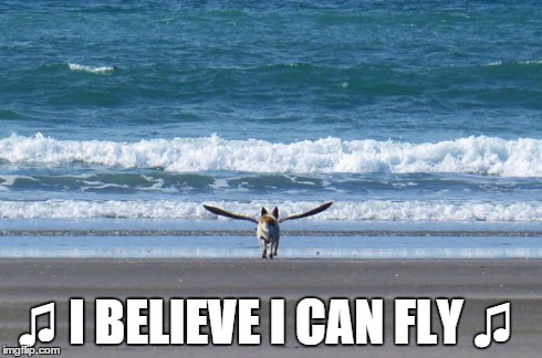 I believe I can fly | â™« I BELIEVE I CAN FLY â™« | image tagged in memes,songs | made w/ Imgflip meme maker