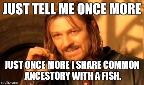 One Does Not Simply | JUST TELL ME ONCE MORE JUST ONCE MORE I SHARE COMMON ANCESTORY WITH A FISH. | image tagged in memes,one does not simply | made w/ Imgflip meme maker
