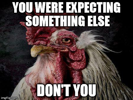 YOU WERE EXPECTING SOMETHING ELSE DON'T YOU | image tagged in coq | made w/ Imgflip meme maker