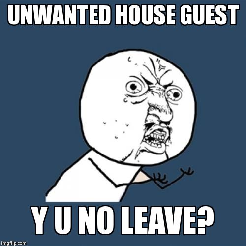 Y U No | UNWANTED HOUSE GUEST Y U NO LEAVE? | image tagged in memes,y u no | made w/ Imgflip meme maker