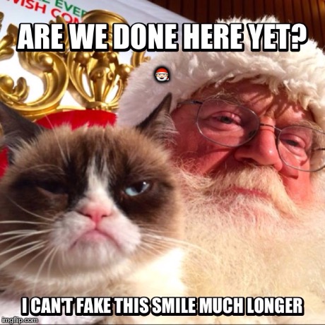 Are We Done Yet? | ðŸŽ… | image tagged in memes,grumpy cat christmas | made w/ Imgflip meme maker