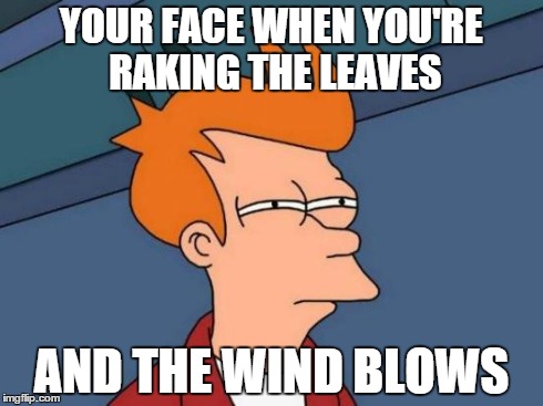 Futurama Fry | YOUR FACE WHEN YOU'RE RAKING THE LEAVES AND THE WIND BLOWS | image tagged in memes,futurama fry | made w/ Imgflip meme maker