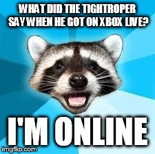 raccoon | WHAT DID THE TIGHTROPER SAY WHEN HE GOT ON XBOX LIVE? I'M ONLINE | image tagged in raccoon | made w/ Imgflip meme maker