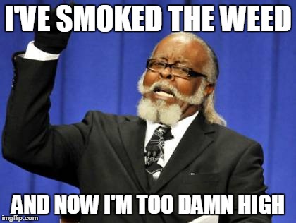 Perils of Weed | I'VE SMOKED THE WEED AND NOW I'M TOO DAMN HIGH | image tagged in memes,too damn high,weed,marijuana | made w/ Imgflip meme maker