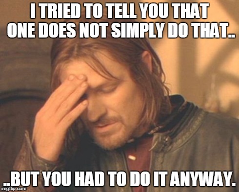 Frustrated Boromir Meme | I TRIED TO TELL YOU THAT ONE DOES NOT SIMPLY DO THAT.. ..BUT YOU HAD TO DO IT ANYWAY. | image tagged in memes,frustrated boromir | made w/ Imgflip meme maker