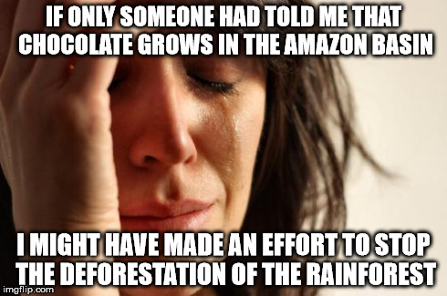 IF ONLY SOMEONE HAD TOLD ME THAT CHOCOLATE GROWS IN THE AMAZON BASIN I MIGHT HAVE MADE AN EFFORT TO STOP THE DEFORESTATION OF THE RAINFOREST | image tagged in memes,first world problems | made w/ Imgflip meme maker