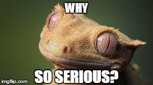 Psychopathic Gecko is Creepy | WHY SO SERIOUS? | image tagged in gecko,reptile,smile,creepy,psychopath | made w/ Imgflip meme maker