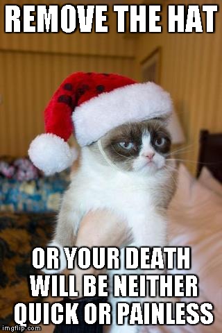 Grumpy Cat Christmas | REMOVE THE HAT OR YOUR DEATH WILL BE NEITHER QUICK OR PAINLESS | image tagged in memes,grumpy cat christmas,grumpy cat | made w/ Imgflip meme maker