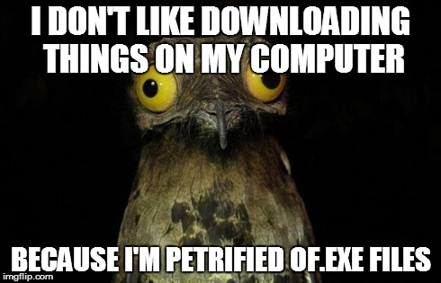 Weird Stuff I Do Potoo Meme | I DON'T LIKE DOWNLOADING THINGS ON MY COMPUTER BECAUSE I'M PETRIFIED OF.EXE FILES | image tagged in memes,weird stuff i do potoo | made w/ Imgflip meme maker
