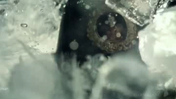 Pop Champagne | image tagged in gifs | made w/ Imgflip video-to-gif maker