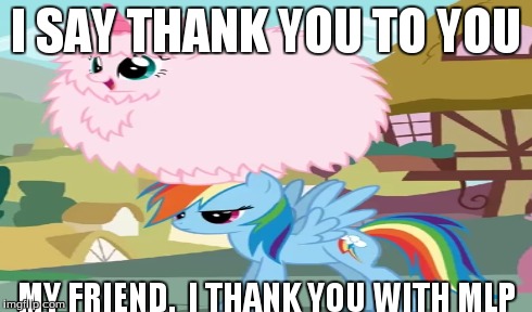 I SAY THANK YOU TO YOU MY FRIEND.  I THANK YOU WITH MLP | made w/ Imgflip meme maker