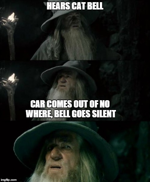 Confused Gandalf | HEARS CAT BELL CAR COMES OUT OF NO WHERE, BELL GOES SILENT | image tagged in memes,confused gandalf | made w/ Imgflip meme maker