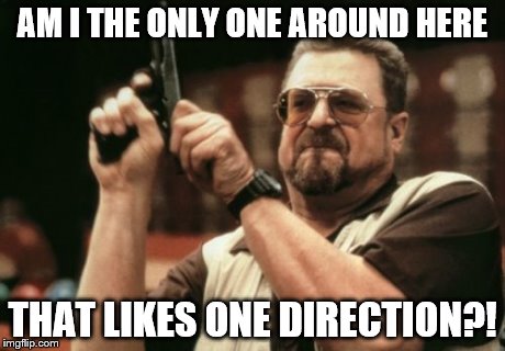 Am I The Only One Around Here | AM I THE ONLY ONE AROUND HERE THAT LIKES ONE DIRECTION?! | image tagged in memes,am i the only one around here | made w/ Imgflip meme maker