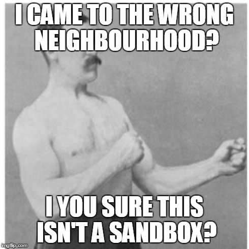 Overly Manly Man | I CAME TO THE WRONG NEIGHBOURHOOD? I YOU SURE THIS ISN'T A SANDBOX? | image tagged in memes,overly manly man | made w/ Imgflip meme maker