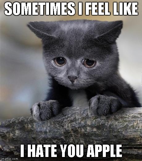 Confession Cat | SOMETIMES I FEEL LIKE I HATE YOU APPLE | image tagged in confession cat | made w/ Imgflip meme maker