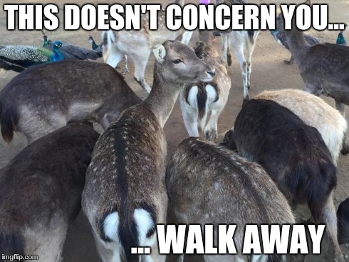 THIS DOESN'T CONCERN YOU... ... WALK AWAY | made w/ Imgflip meme maker