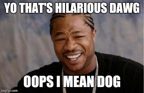 Yo Dawg Heard You Meme | YO THAT'S HILARIOUS DAWG OOPS I MEAN DOG | image tagged in memes,yo dawg heard you | made w/ Imgflip meme maker