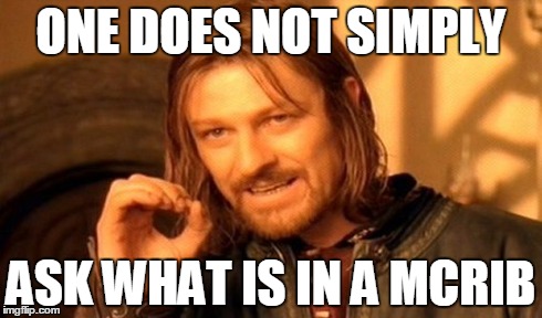 One Does Not Simply Meme | ONE DOES NOT SIMPLY ASK WHAT IS IN A MCRIB | image tagged in memes,one does not simply | made w/ Imgflip meme maker