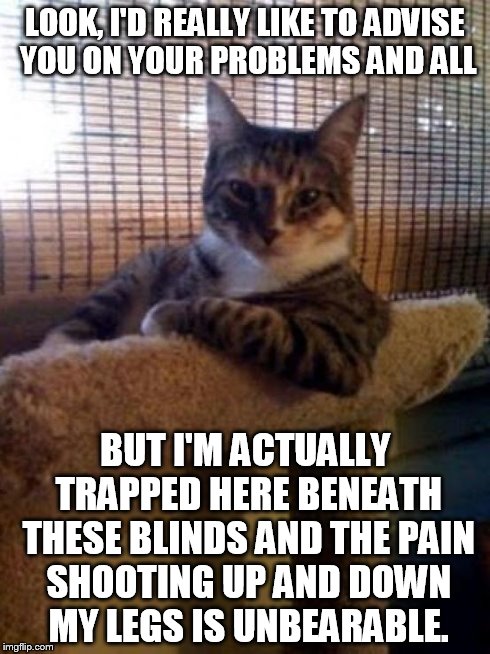 The real story | LOOK, I'D REALLY LIKE TO ADVISE YOU ON YOUR PROBLEMS AND ALL BUT I'M ACTUALLY TRAPPED HERE BENEATH THESE BLINDS AND THE PAIN SHOOTING UP AND | image tagged in memes,the most interesting cat in the world | made w/ Imgflip meme maker