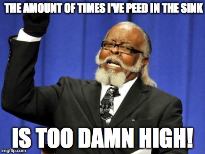 Hey....a lot of people do it haha | THE AMOUNT OF TIMES I'VE PEED IN THE SINK IS TOO DAMN HIGH! | image tagged in memes,too damn high | made w/ Imgflip meme maker