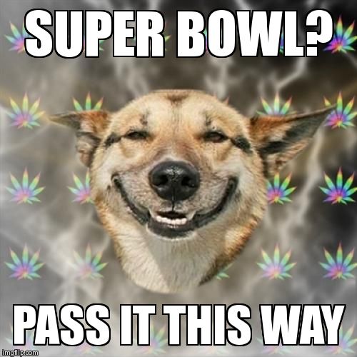 Stoner Dog | SUPER BOWL? PASS IT THIS WAY | image tagged in memes,stoner dog | made w/ Imgflip meme maker