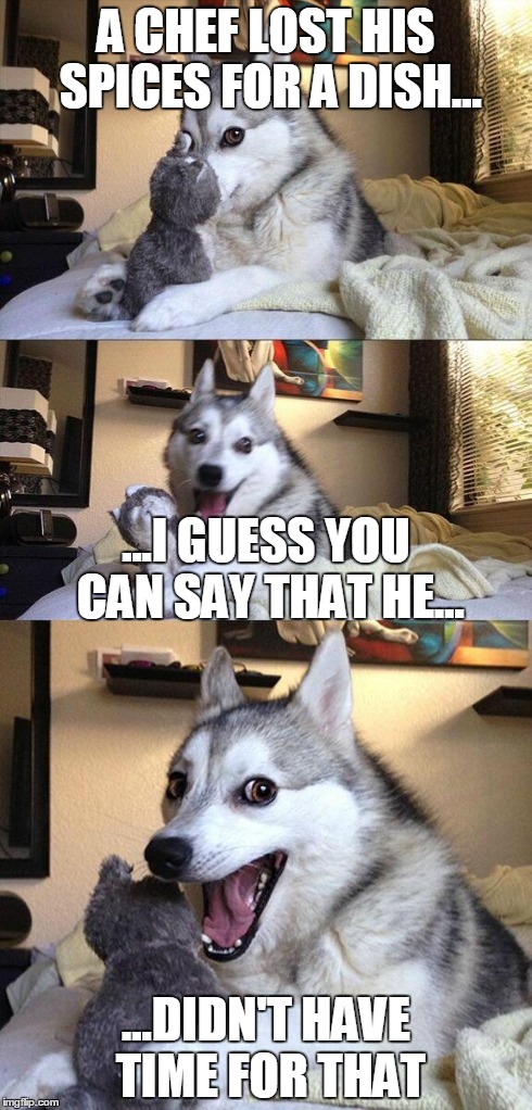 Bad Pun Dog | A CHEF LOST HIS SPICES FOR A DISH... ...DIDN'T HAVE TIME FOR THAT ...I GUESS YOU CAN SAY THAT HE... | image tagged in memes,bad pun dog | made w/ Imgflip meme maker