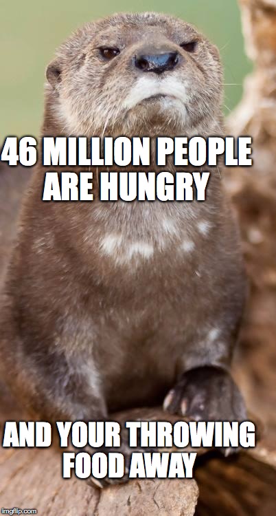 Disapproving Otter | 46 MILLION PEOPLE ARE HUNGRY AND YOUR THROWING FOOD AWAY | image tagged in disapproving otter | made w/ Imgflip meme maker