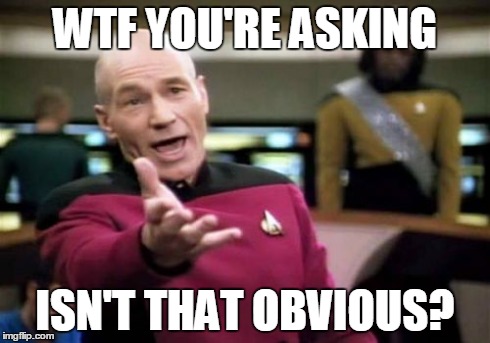 Picard Wtf Meme | WTF YOU'RE ASKING ISN'T THAT OBVIOUS? | image tagged in memes,picard wtf | made w/ Imgflip meme maker