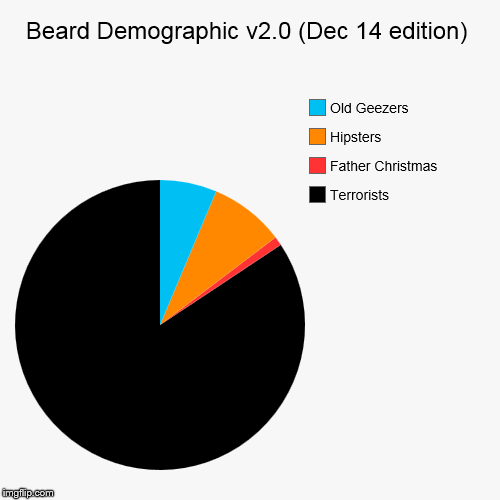 Beard Demographic v2.0 (Dec 14 edition) | Terrorists, Father Christmas, Hipsters, Old Geezers | image tagged in funny,pie charts | made w/ Imgflip chart maker