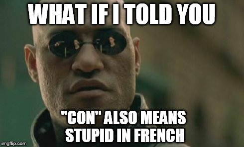 Matrix Morpheus Meme | WHAT IF I TOLD YOU "CON" ALSO MEANS STUPID IN FRENCH | image tagged in memes,matrix morpheus | made w/ Imgflip meme maker