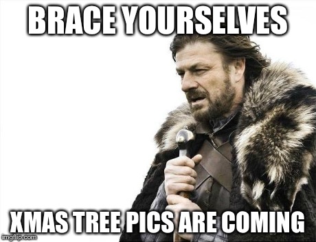 Brace Yourselves X is Coming | BRACE YOURSELVES XMAS TREE PICS ARE COMING | image tagged in memes,brace yourselves x is coming | made w/ Imgflip meme maker