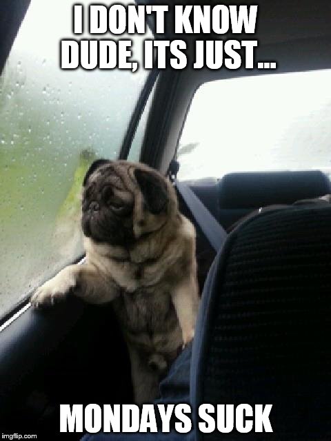 Introspective Pug | I DON'T KNOW DUDE, ITS JUST... MONDAYS SUCK | image tagged in introspective pug | made w/ Imgflip meme maker