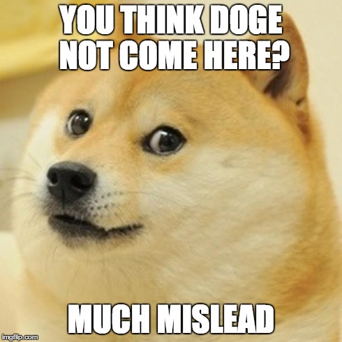 Doge Meme | YOU THINK DOGE NOT COME HERE? MUCH MISLEAD | image tagged in memes,doge | made w/ Imgflip meme maker
