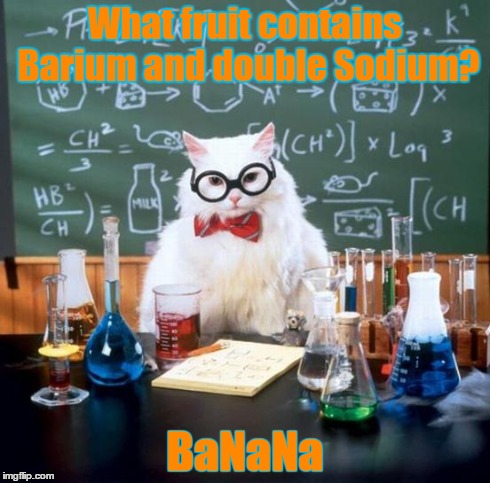 Chemistry Cat | What fruit contains Barium and double Sodium? BaNaNa | image tagged in memes,chemistry cat | made w/ Imgflip meme maker