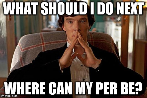 sherlock | WHAT SHOULD I DO NEXT WHERE CAN MY PER BE? | image tagged in sherlock | made w/ Imgflip meme maker
