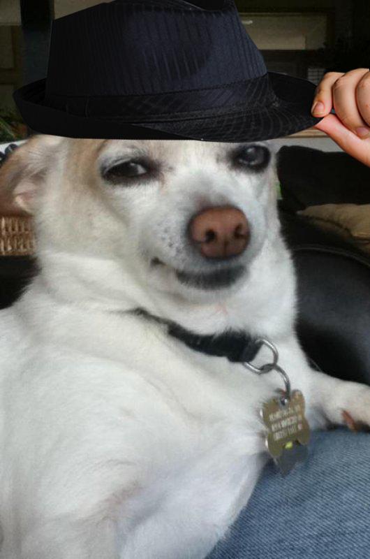 High Quality Tips Fedora Blank Meme Template