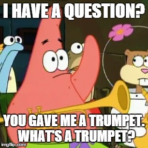 No Patrick Meme | I HAVE A QUESTION? YOU GAVE ME A TRUMPET.  WHAT'S A TRUMPET? | image tagged in memes,no patrick | made w/ Imgflip meme maker
