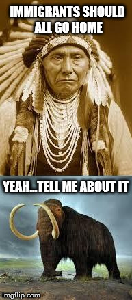 Native American vs Woolly Mammoth re: Migration | IMMIGRANTS SHOULD ALL GO HOME YEAH...TELL ME ABOUT IT | image tagged in unimpressed,memes,meme | made w/ Imgflip meme maker