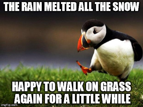 Don't worry, winter is still coming | THE RAIN MELTED ALL THE SNOW HAPPY TO WALK ON GRASS AGAIN FOR A LITTLE WHILE | image tagged in memes,unpopular opinion puffin | made w/ Imgflip meme maker