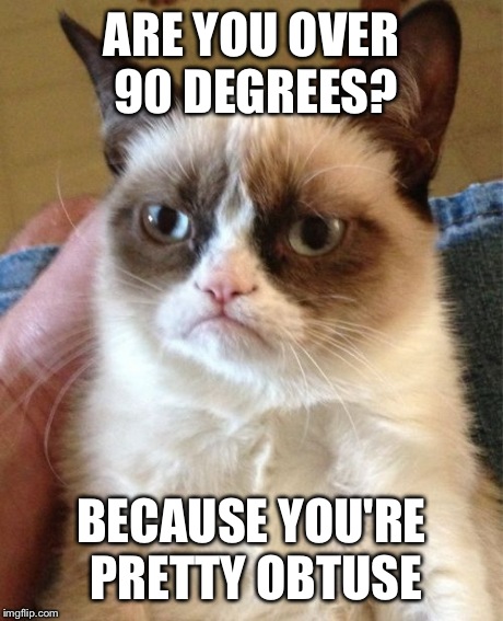 Grumpy Cat Meme | ARE YOU OVER 90 DEGREES? BECAUSE YOU'RE PRETTY OBTUSE | image tagged in memes,grumpy cat | made w/ Imgflip meme maker