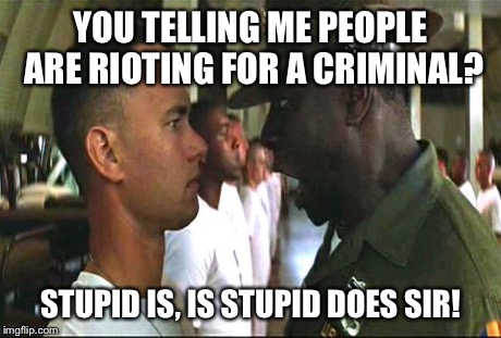 Stupid | YOU TELLING ME PEOPLE ARE RIOTING FOR A CRIMINAL? STUPID IS, IS STUPID DOES SIR! | image tagged in stupid | made w/ Imgflip meme maker