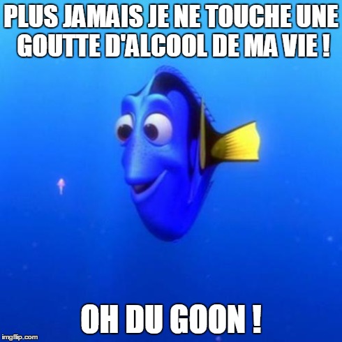 Dory | PLUS JAMAIS JE NE TOUCHE UNE GOUTTE D'ALCOOL DE MA VIE ! OH DU GOON ! | image tagged in dory | made w/ Imgflip meme maker