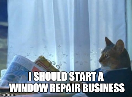 I Should Buy A Boat Cat | I SHOULD START A WINDOW REPAIR BUSINESS | image tagged in memes,i should buy a boat cat | made w/ Imgflip meme maker