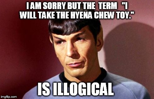 Sassy Spock | I AM SORRY BUT THE 
TERM 

"I WILL TAKE THE HYENA CHEW TOY." IS ILLOGICAL | image tagged in sassy spock | made w/ Imgflip meme maker