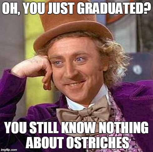 Creepy Condescending Wonka Meme | OH, YOU JUST GRADUATED? YOU STILL KNOW NOTHING ABOUT OSTRICHES | image tagged in memes,creepy condescending wonka | made w/ Imgflip meme maker