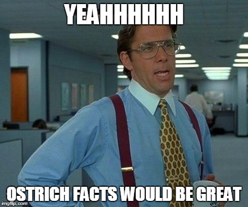 That Would Be Great Meme | YEAHHHHHH OSTRICH FACTS WOULD BE GREAT | image tagged in memes,that would be great | made w/ Imgflip meme maker